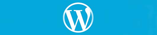Wordpress icon technologies